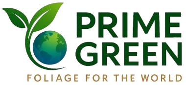 Prime Green
